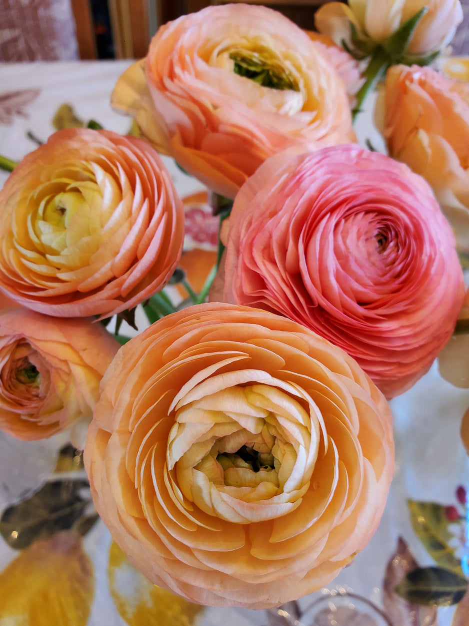 Mother&#39;s Day