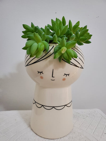 Lady Pot