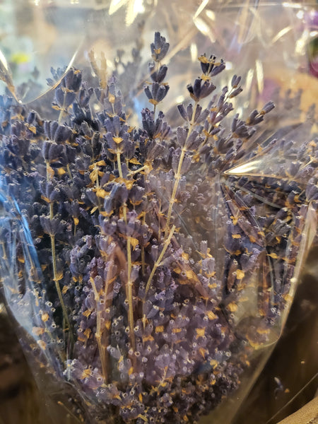 Dried Lavender Bunch